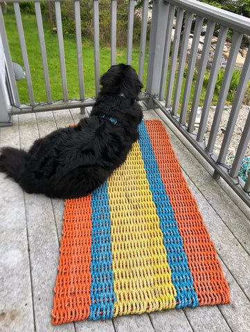 Orange with Blue and Yellow Stripes Runner